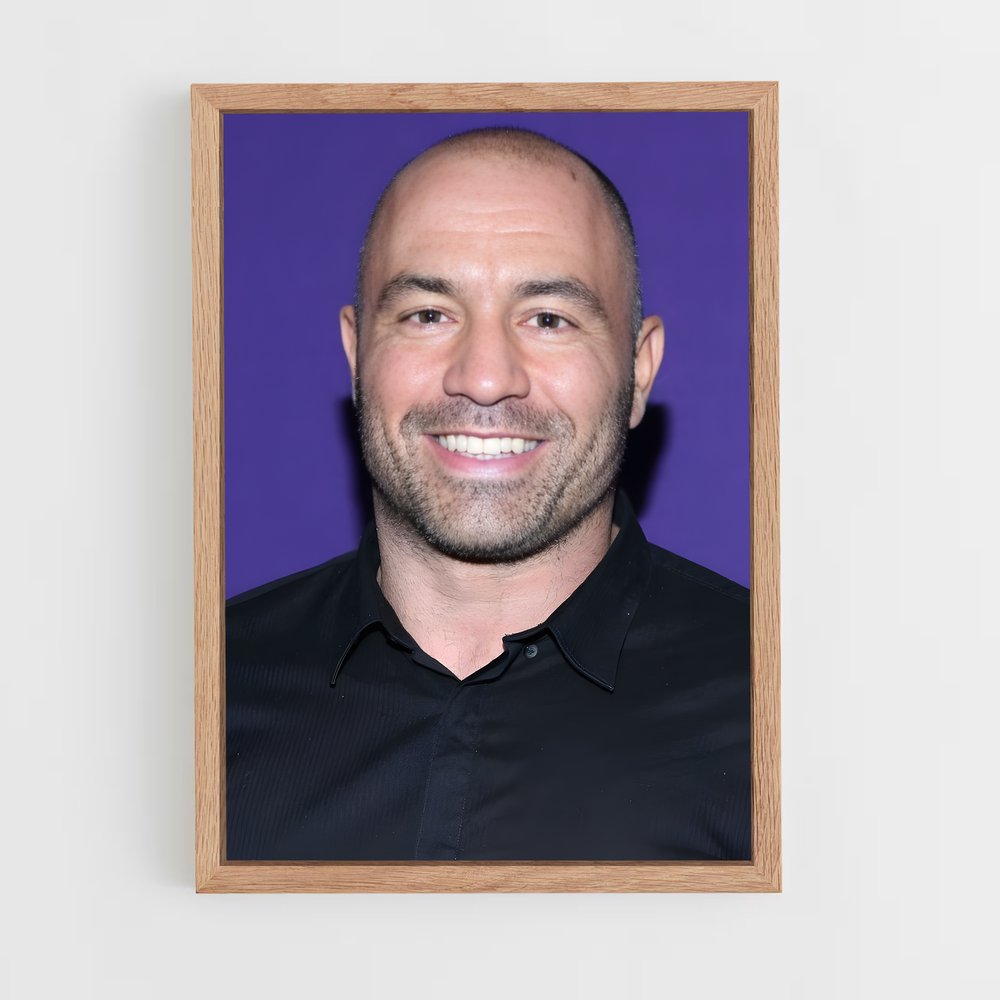 Poster The Joe Rogan Experience – affiche MMA (vue 4)